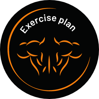 Training plan
